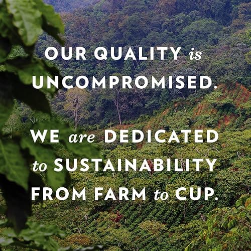 Community Coffee Pecan Praline Medium Roast Single Serve Keurig K-Cup Pods 32 ct Box thumbnail 8