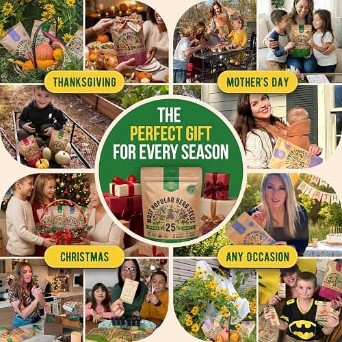 25 Most Popular Herb Seeds Variety Pack - 11,700 Non-GMO Heirloom Seeds for Planting Herbs in Individual Seed Packets for Hydroponic, Indoor & Outdoor Gardening - 2026 Season: Catnip, Dill, Thyme thumbnail 5