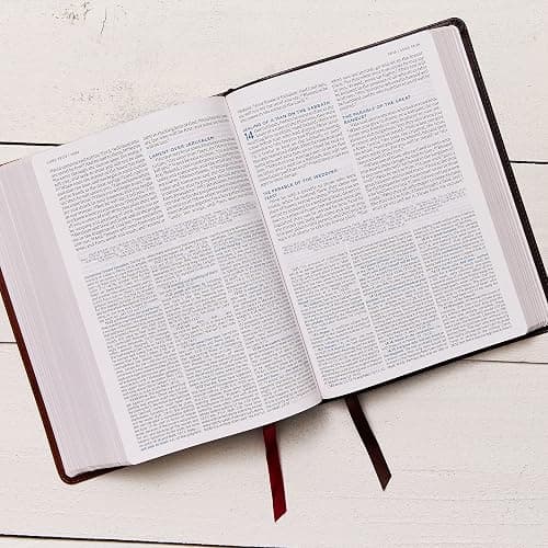 ESV, MacArthur Study Bible, 2nd Edition, Premium Goatskin Leather, Brown, Premier Collection: Unleashing God's Truth One Verse at a Time thumbnail 7
