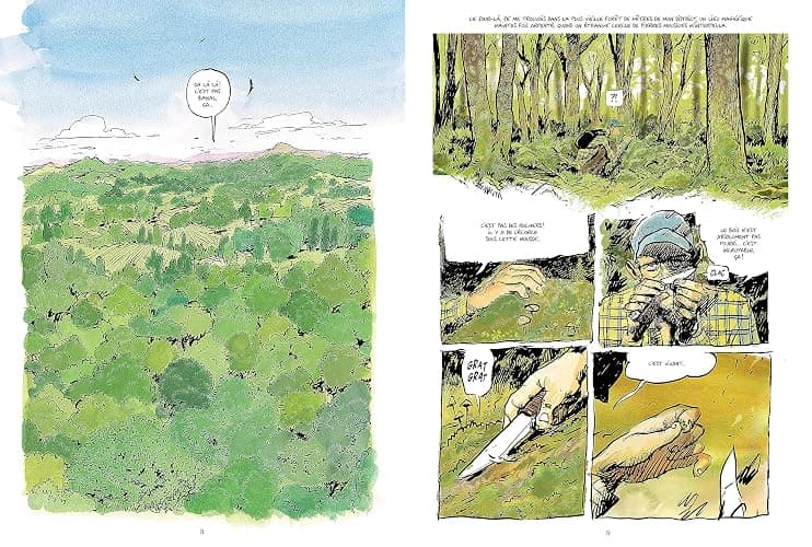 La Vie secrète des arbres en BD thumbnail 2