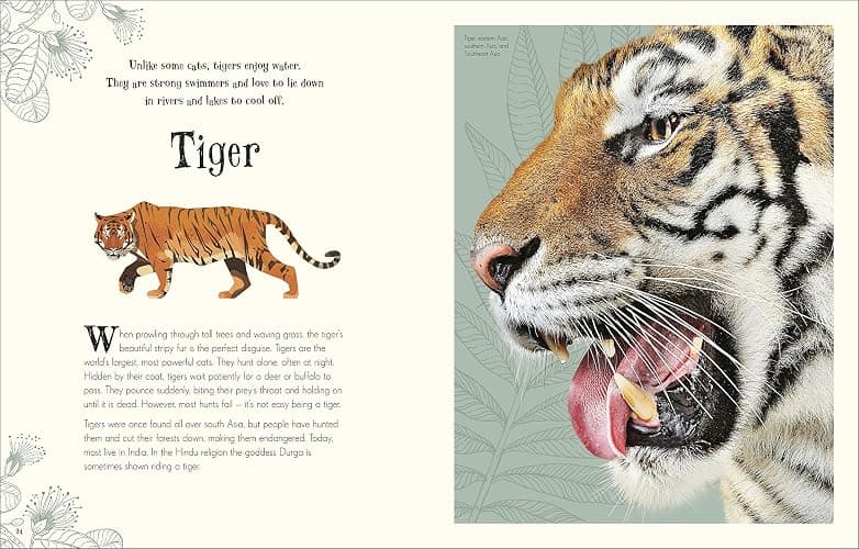 Anthology Of Intriguing Animals thumbnail 6