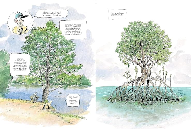 La Vie secrète des arbres en BD thumbnail 5