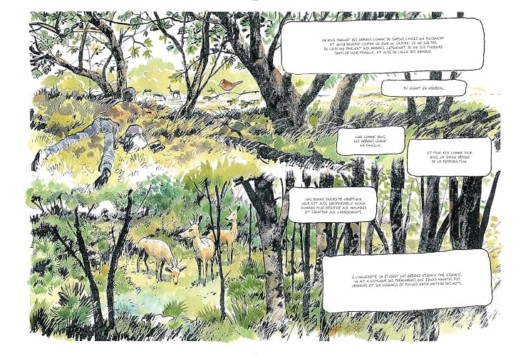 La Vie secrète des arbres en BD thumbnail 4