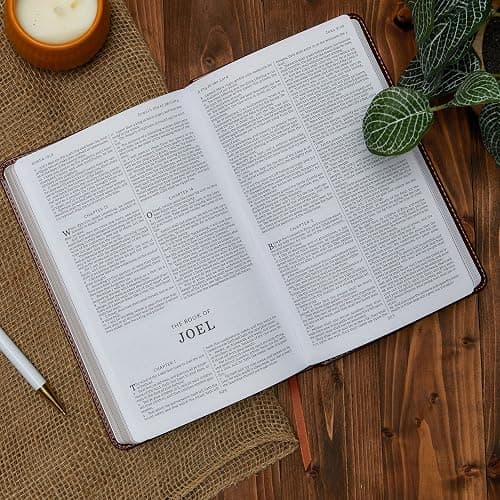 KJV Holy Bible: Gift and Award, Pink Leather-Look, Red Letter, Comfort Print: King James Version thumbnail 12