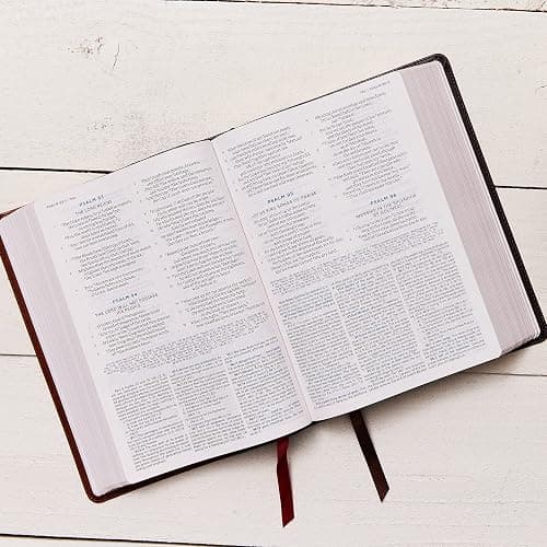 ESV, MacArthur Study Bible, 2nd Edition, Premium Goatskin Leather, Brown, Premier Collection: Unleashing God's Truth One Verse at a Time thumbnail 4