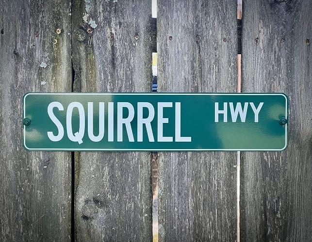 Customized Green Road Sign Personalized Novelty Street Sign thumbnail 5