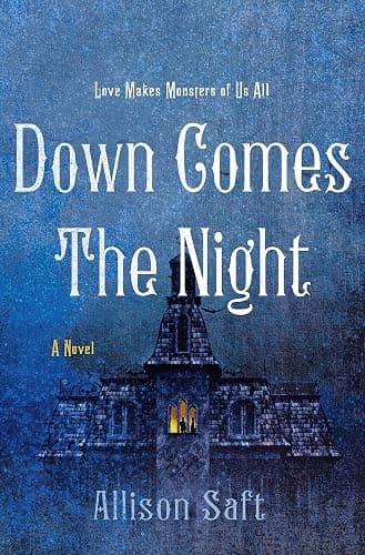 Down Comes the Night: A Novel - Image 1