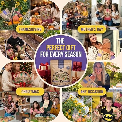 35 Medicinal & Tea Herb Seeds Variety Pack for Indoor & Outdoors. 16,335+ Non-GMO Heirloom Garden Seeds: Anise, Bergamot, Borage, Cilantro, Chamomile, Dandelion, Rosemary Seeds & More thumbnail 7