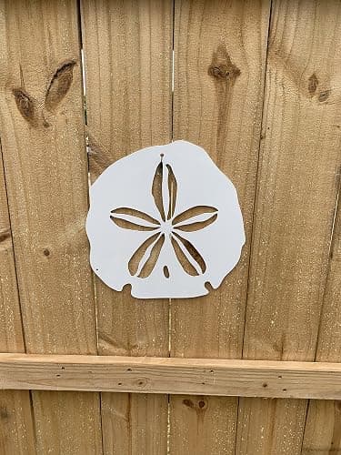 Riverside Designs Coastal Sand Dollar Ocean Beach Metal Art Steel Wall Decor (12", White) thumbnail 5