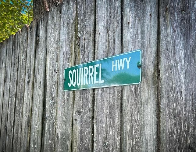 Customized Green Road Sign Personalized Novelty Street Sign thumbnail 2