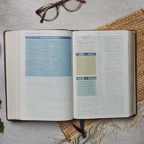 NKJV, Spirit-Filled Life Bible, Third Edition, Leathersoft, Burgundy, Red Letter, Comfort Print: Kingdom Equipping Through the Power of the Word thumbnail 13