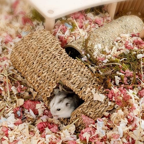 Niteangel Creative & Composable Hamster Tunnel - DIY & Build Unique Tube Burrow as Hideout for Small Sized Animals Like Hamsters Mouse Gerbils Mice (7.5-inch L - HC) thumbnail 3