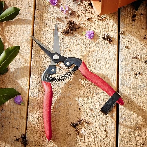 Corona Tools Long Curved Snips – 1.75″ Tempered Steel Precision Garden Shears for Fruit, Herbs, Flowers & Vineyard Use thumbnail 2