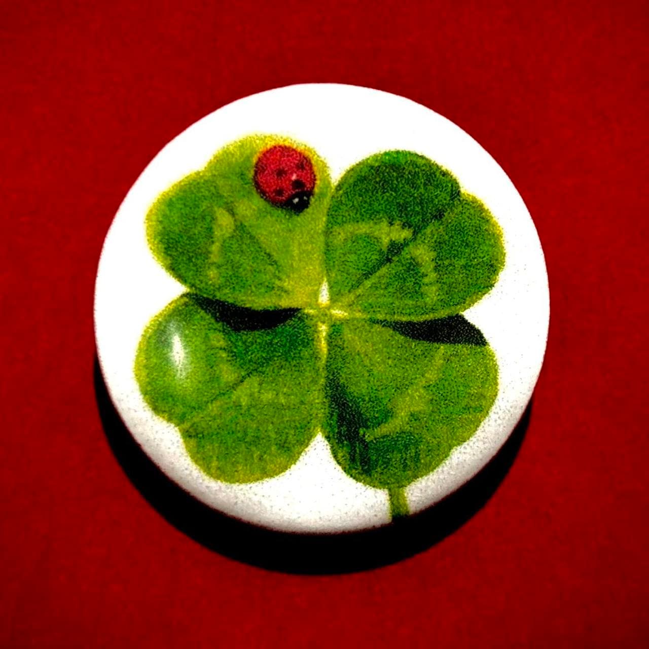 four-leaf clover with ladybug pin ₊˚⊹♡


-1.25 inch... - Image 1