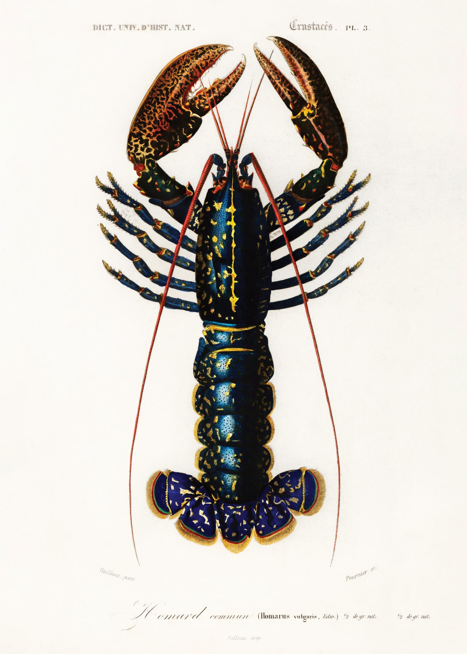 Vintage Lobster Affiche - Image 1
