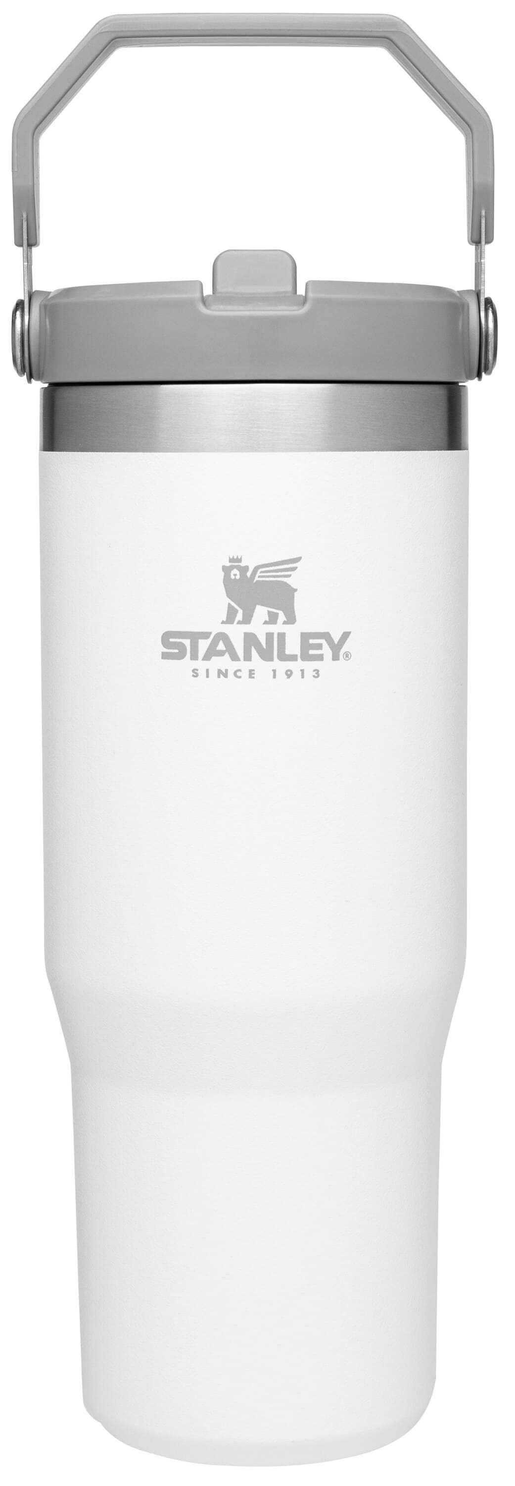 Stanley Iceflow Flip Straw Tumbler 30 -fl oz Stainless steel Insulated Water bottle - POLAR