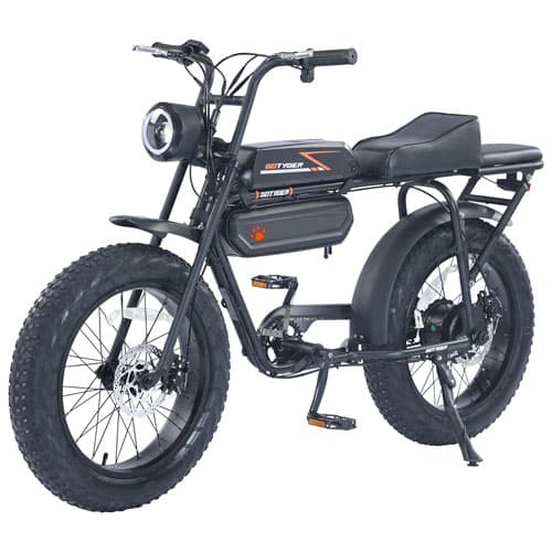 Vélo de transport électrique à gros pneus EarthRider de GoTyger (moteur 500 W/autonomie jusqu'à 45 km) - Noir | Best Buy Canada - Image 1