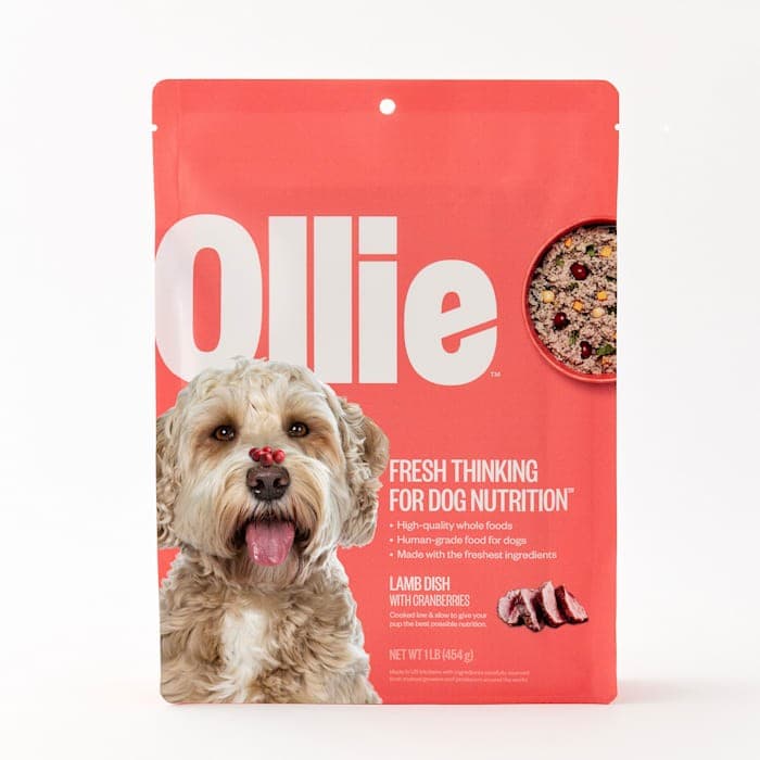 Ollie Fresh Lamb Dish Dog Food