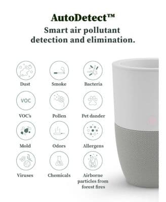 Bloom Air Purifier, Smart HEPA-13 Medical-Grade Filtration, Large Rooms (1,517 Sq. Ft.) with Integrated Planter thumbnail 2