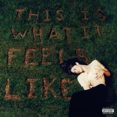 Gracie Abrams - This Is What It Feels Like (Vinyl) - Image 1