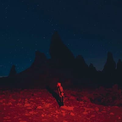 Phoebe Bridgers - Punisher (Vinyl) - Image 1