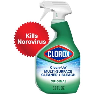 Clorox Original Clean-Up All Purpose Cleaner with Bleach Spray Bottle - 32oz - Image 1