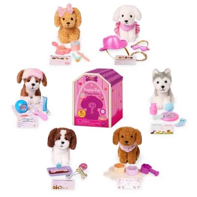 Our Generation Surprise Pets Puppy Series - 1 of 6 Collectible Mystery Boxes Accessories for 18" Dolls - Image 1