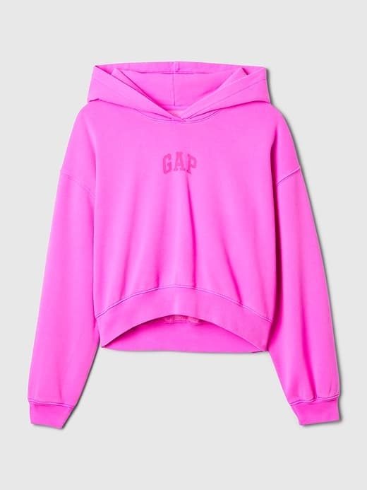 VintageSoft Crop Logo Hoodie thumbnail 3