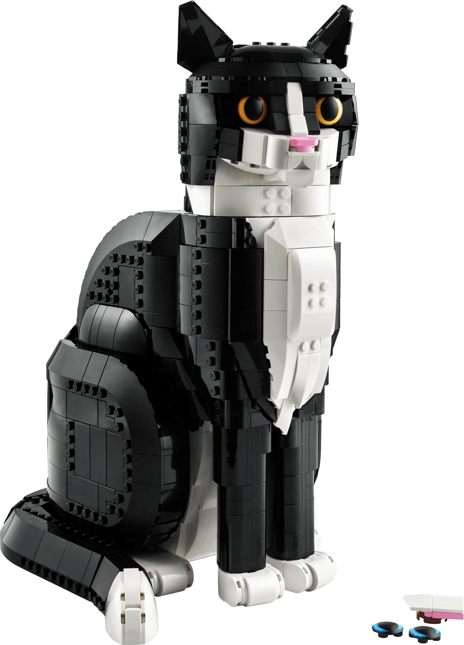 Tuxedo Cat - Image 1