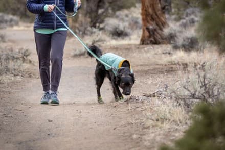 Roamer Leash - Orion Blue - 5.5 - 7 FT thumbnail 6
