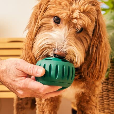 Pupsicle Dog Toy thumbnail 7