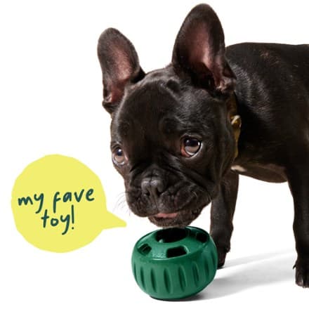 Pupsicle Dog Toy thumbnail 6