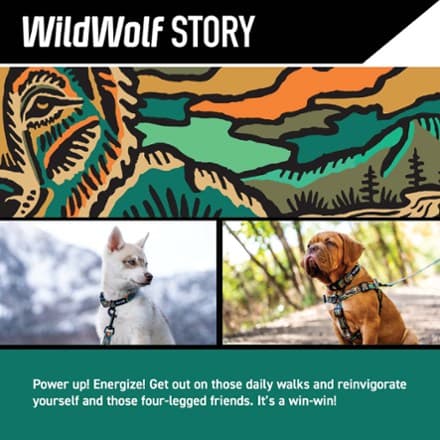 WildWolf Leash - Wildwolf - 4 FT thumbnail 5