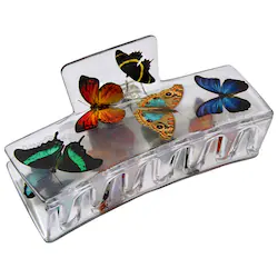Medium Box Hair Claw Clip - Butterfly - Image 1