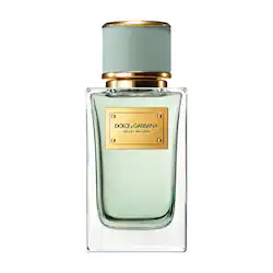 Velvet Infusion with Bergamot & Cedarwood - Image 1