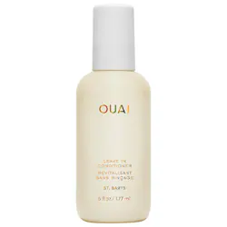 Detangling and Frizz Fighting Leave In Conditioner - Image 1