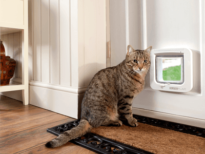 SureFeed Microchip Pet Feeder Connect