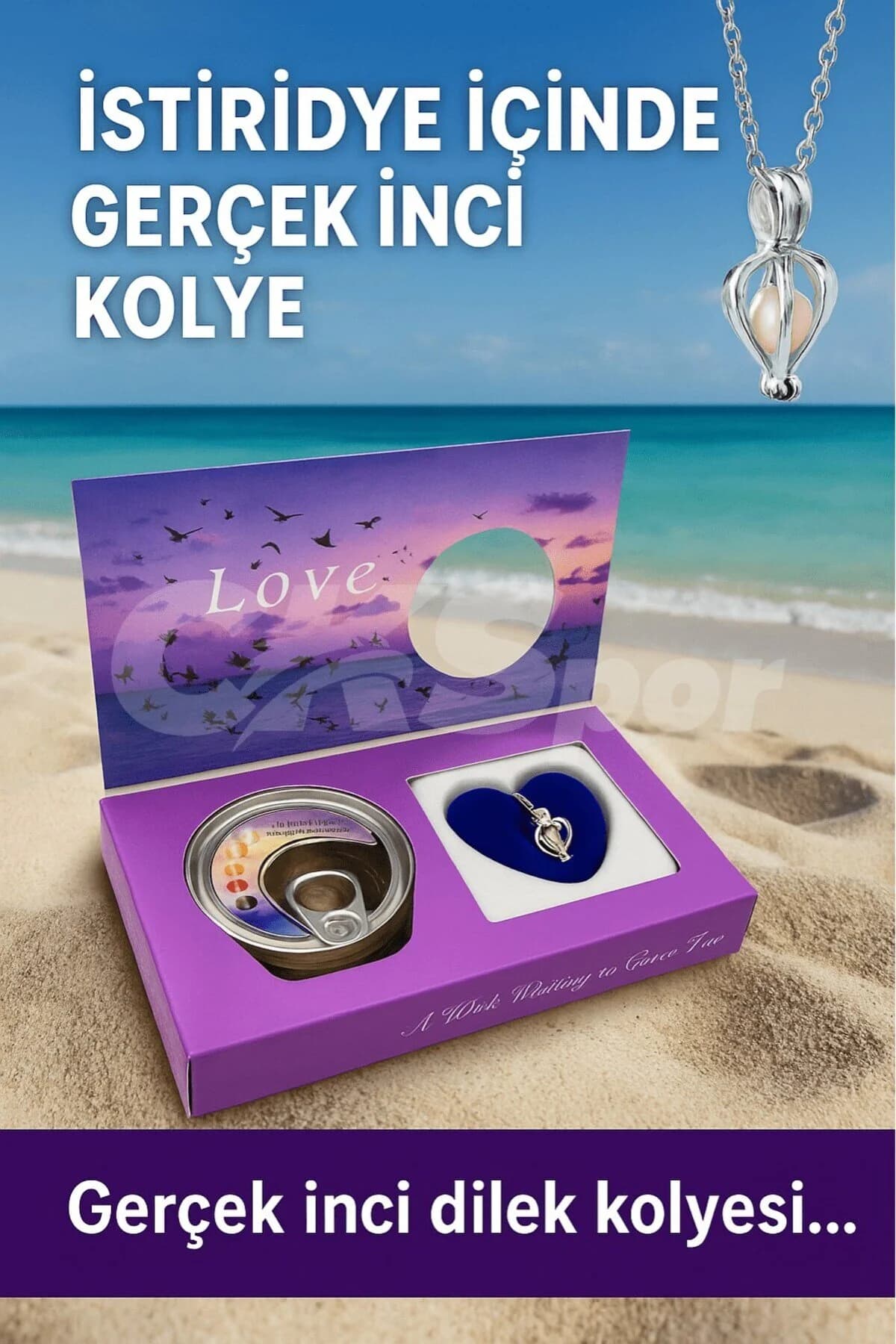CKSpor Gerçek İncili İstiridye – Canlı Kabuk İçinde İnci ve Kolye Hediyeli Sürpriz Hediye Seti CKS-211 - Image 1