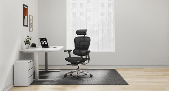 Raynor Ergohuman Mesh Chair
