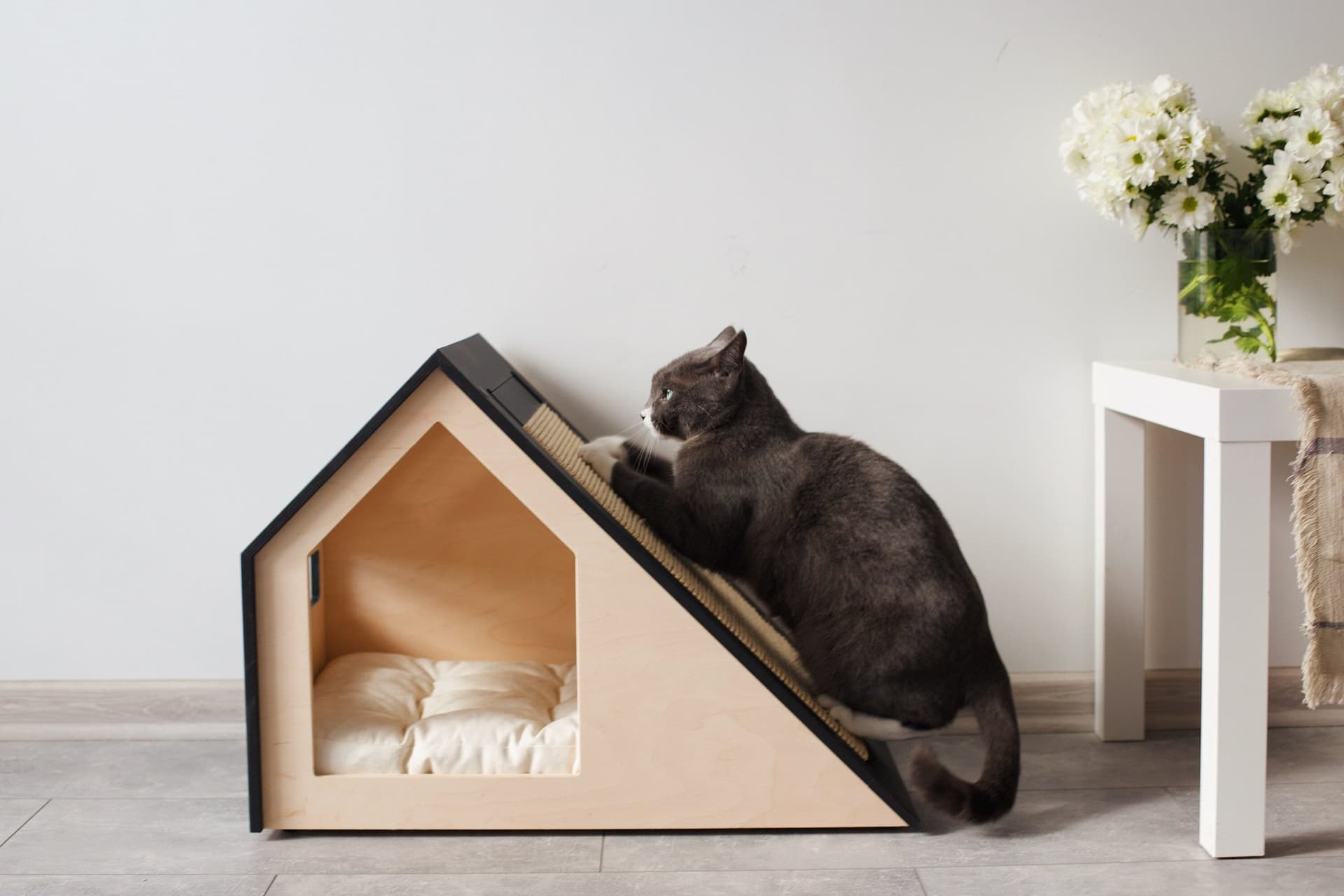 Modern cat house with changeable scratcher/cat bed/cat pillow/wooden cat house/cat kenne/cat furniture/cat cave/cat scratching - Image 1