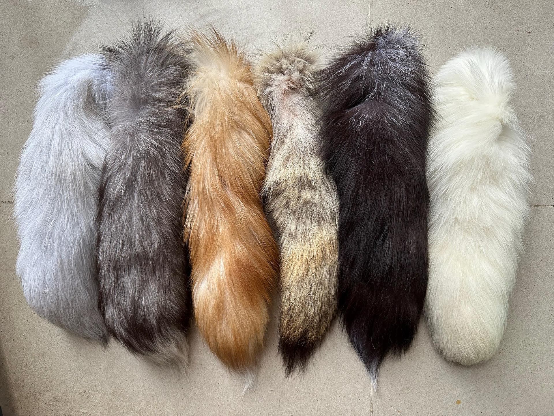 1 Pcs Full Foxtail or Coyote tail, 14-16". 6 colours Available, with soft fur. Animal horse farts, fox fur. fur cat toy. - Image 1