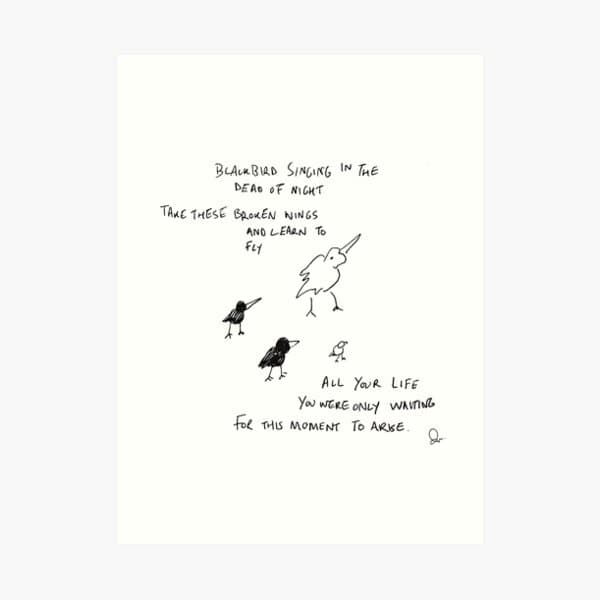 Blackbird Art Print - Image 1