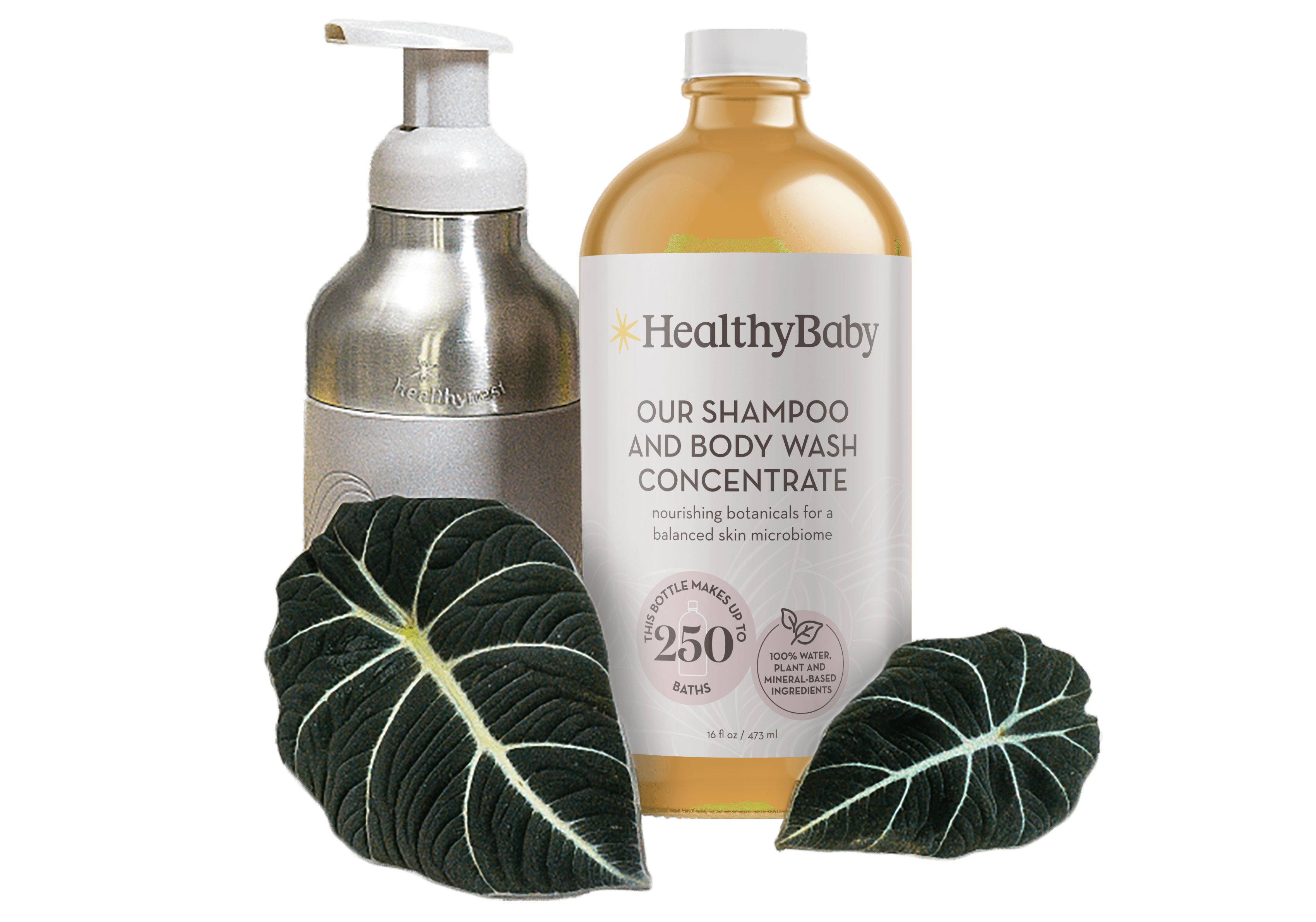 Our Shampoo and Body Wash System - Image 1