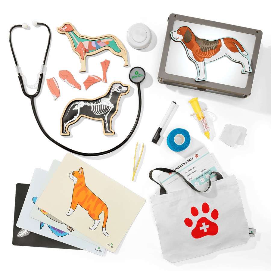 Veterinarian Starter Kit - Image 1