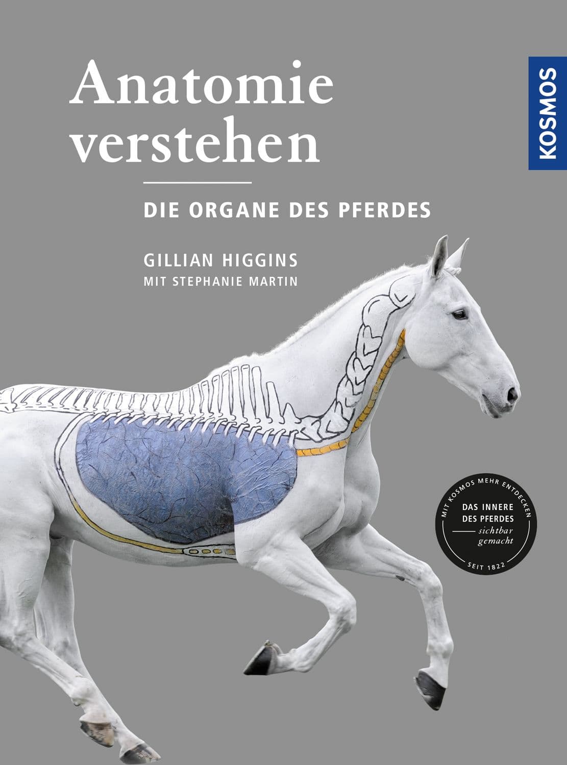 Anatomie verstehen - Die Organe des Pferdes - Image 1