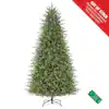 Home Decorators Collection 9 ft. Pre-Lit LED Grand Duchess Twinkling Balsam Fir Artificial Christmas Tree T28 21LE31010 - Image 1