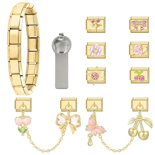 Loozykit Italian Charm Bracelet Sets with 1Pcs Start Bracelet,10Pcs Module Charms and Opening Tool DIY Removable Charms Stainless Steel Links Jewelry Gifts - Image 1