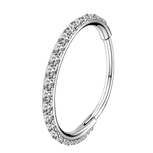 OUFER Nose Rings Surgical Steel Cartilage Earrings Tragus 316L Stainless Steel Helix Earrings Cartilage Earring 14G/16G/18G/20G Hinged Segment Rings Hoop - Image 1