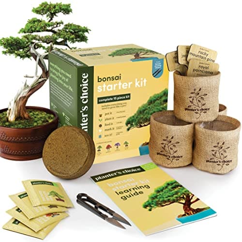 Bonsai Starter Kit - Gardening Gift for Women & Men - Bonsai Tree Growing Garden Crafts Hobby Kits for Adults, Unique DIY Hobbies for Plant Lovers - Unusual Christmas Gifts Ideas, or Gardener Mother - Image 1