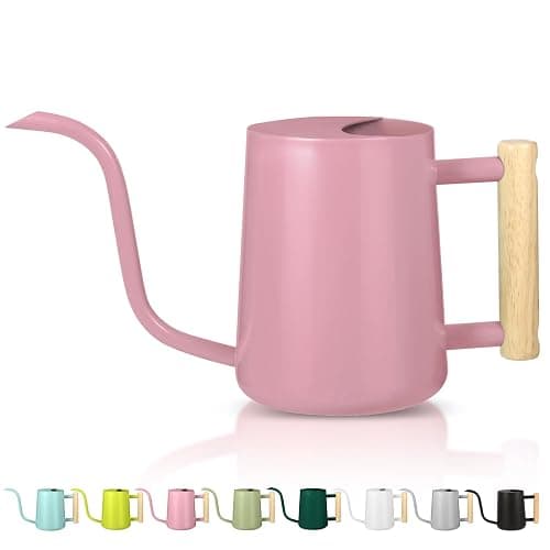 Watering Can Indoor Plants, 35oz Small Indoor Stainless Steel Metal Watering Can Modern Decorative Watering Pot with Long Spout for Indoor House Plant Bonsai Garden Flowers (Pink) - Image 1